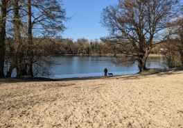 Groß Glienicker See, nördlich (Pferdekoppel) - Foto