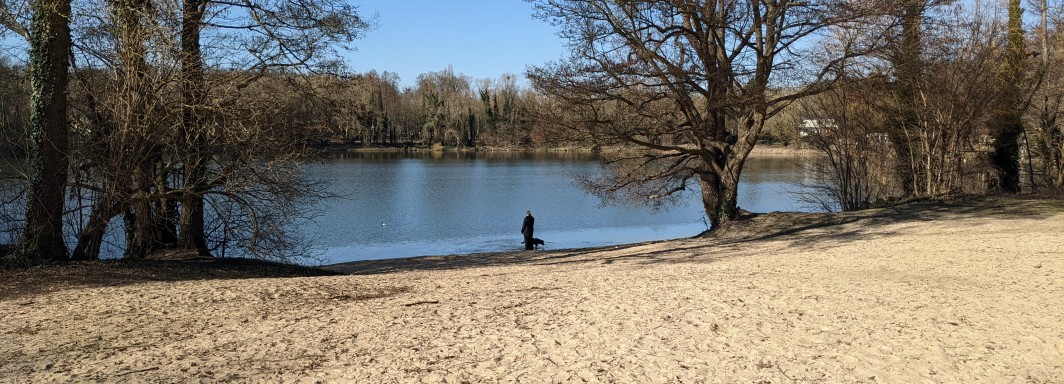 Groß Glienicker See, nördlich (Pferdekoppel) - Foto