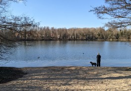 Groß Glienicker See, nördlich (Pferdekoppel) - Foto
