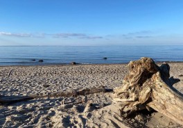 Foto: Swimcheck Team