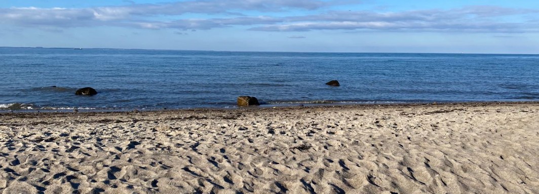 Foto: Swimcheck Team