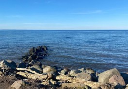 Foto: Swimcheck team