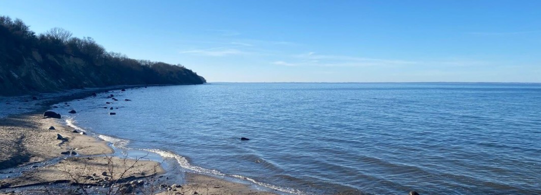 Foto: Swimcheck team