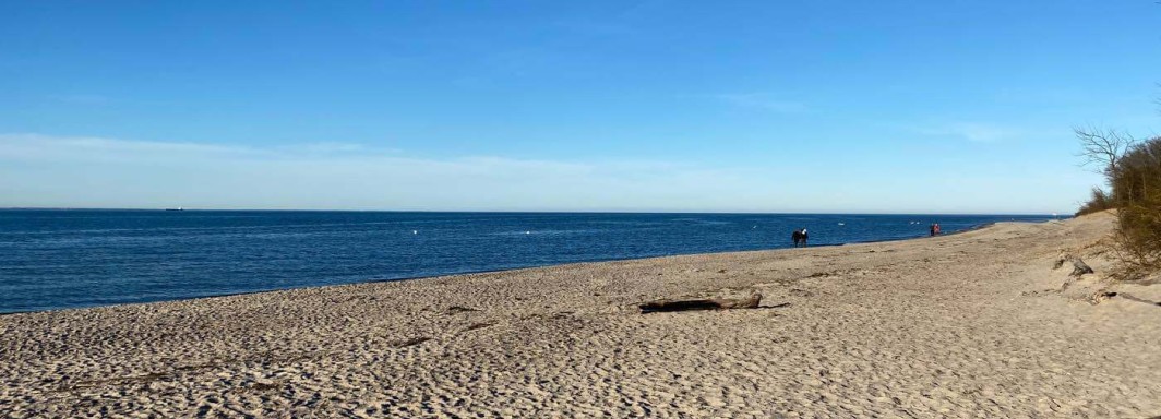 Foto: Swimcheck Team