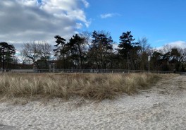 Foto: Swimcheck team