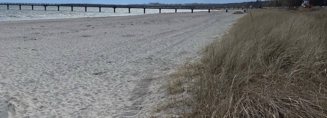 Foto: Swimcheck team