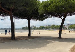 Foto: Swimcheck team