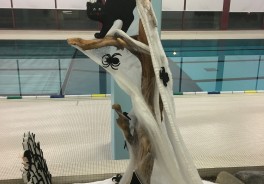 Foto: Salvatore Sinatra