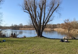 Spektesee Badestelle, Strand - Foto