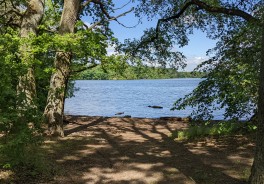 Tegeler See, Badestelle Saatwinkel - Foto