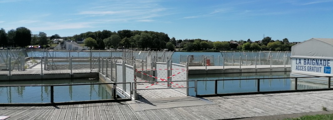 Foto: Michael Reinhardson - Vielen Dank!