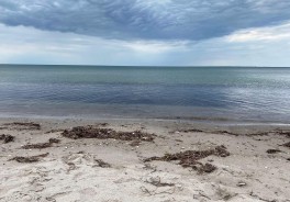 Hoeve Offentlige Strand - Foto