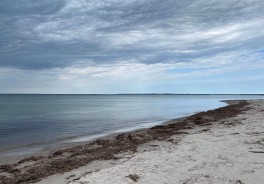 Hoeve Offentlige Strand - Foto