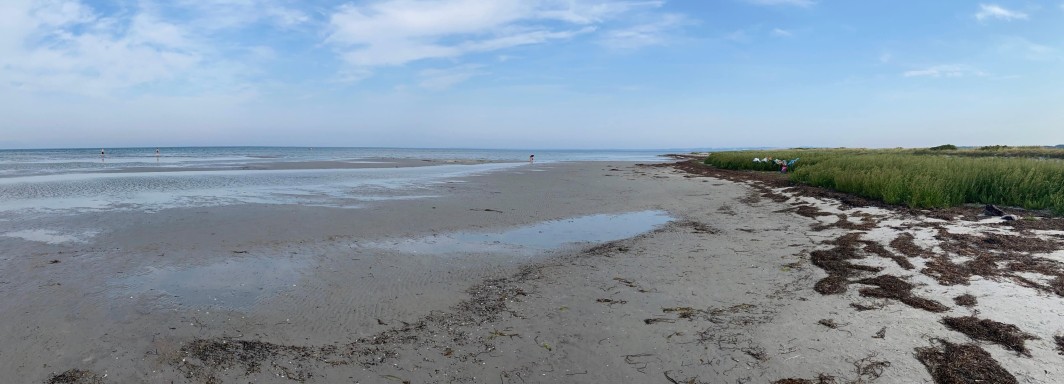 Hoensinge Lyng - Foto