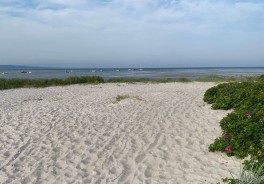 Hoensinge Lyng - Foto