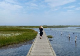 Hoensinge Lyng - Foto