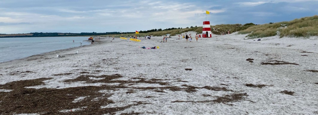 Gudmindrup Lyng - Foto