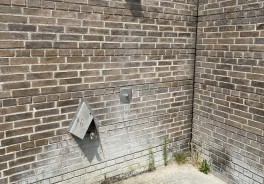 Blegstraedehagen - Foto