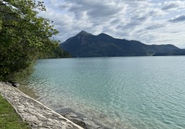 Walchensee, Bade- und Surferwiese - Foto