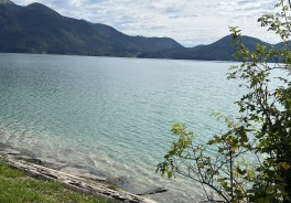 Walchensee, Bade- und Surferwiese - Foto