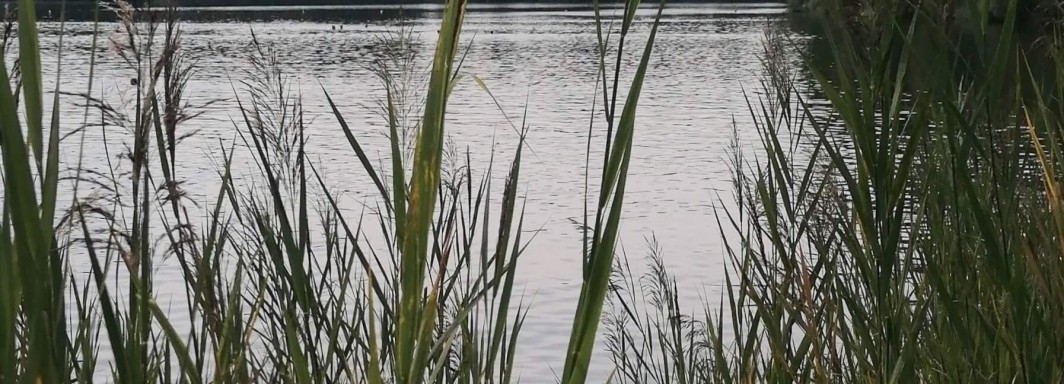 Foto: Katrin Fischer