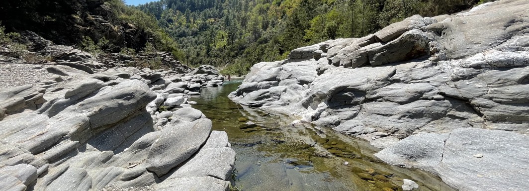 Photo: Gunther Dobmann