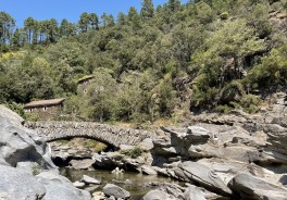 Photo: Gunther Dobmann