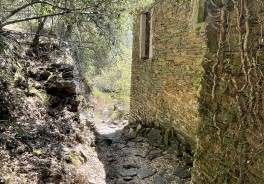 Photo: Gunther Dobmann