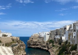 Lama Monachile - Foto