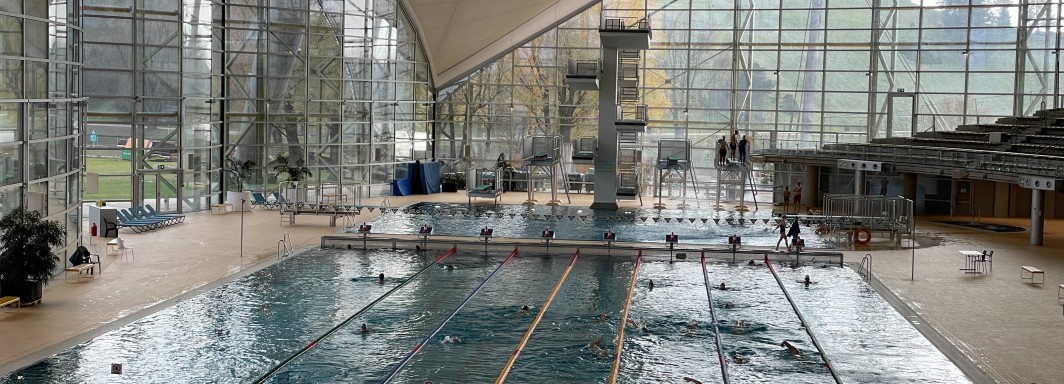 Foto: Bernd Dittrich - Unsplash