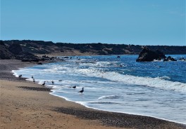 Lara Beach, Zypern - Foto