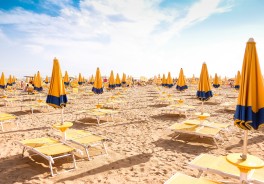 Photo: Timo Wagner, Unsplash