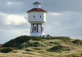 Photo: Konrad Rolf, Unsplash