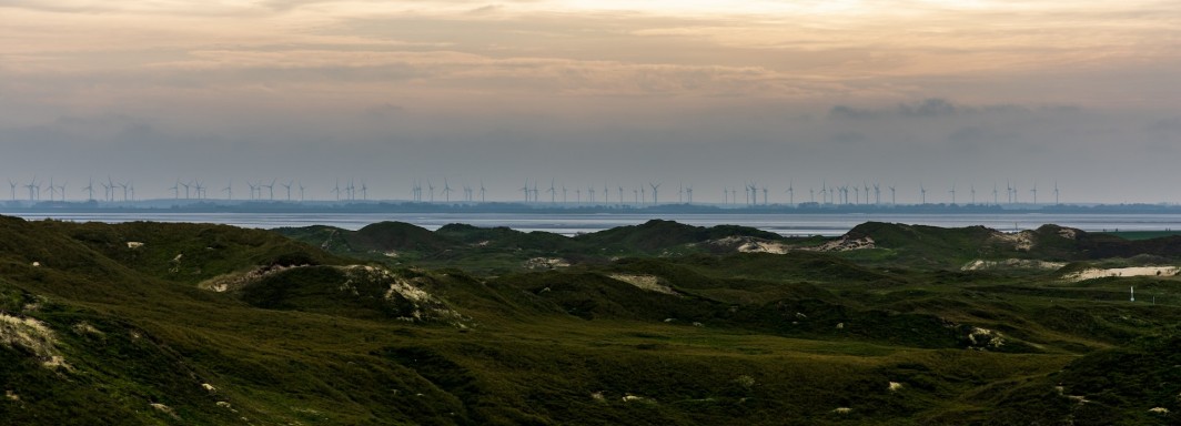 Photo: Dominik Lückmann, Unsplash