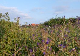 Photo: Leon Bredella, Unsplash