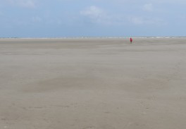 Photo: Leon Bredella, Unsplash