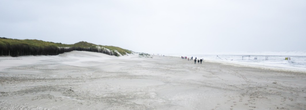 Photo: Rifath @photoripey, Unsplash