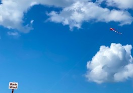 Photo: Frank Hütter, Unsplash