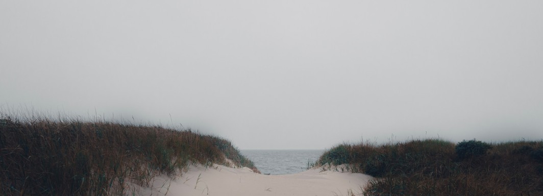 Photo: Loris, Unsplash