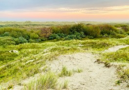 Photo: Susanne Braun, Unsplash