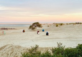 Photo: Susanne Braun, Unsplash