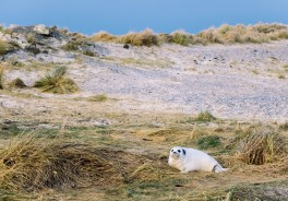 Photo: Robert Katzki, Unsplash