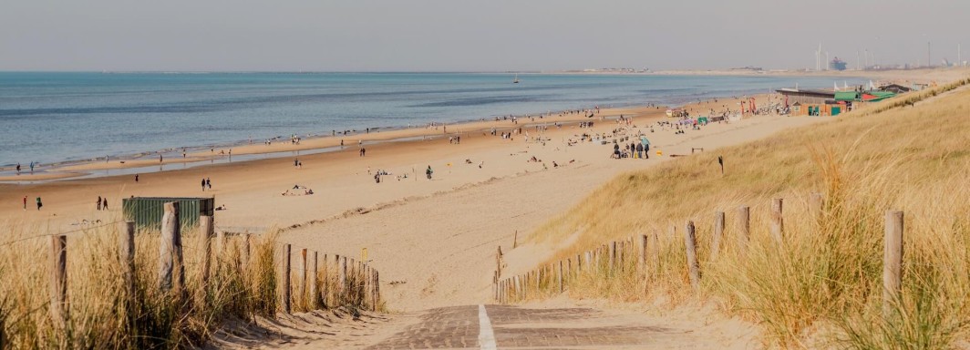 Євгенія Височина, Unsplash