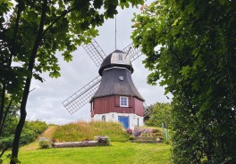 Photo: Robert Katzki, Unsplash