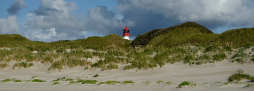 Photo: Lukas Wochner, Unsplash