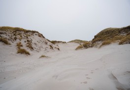 Photo: David Emrich, Unsplash