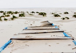 Photo: Thanhy Nguyen, Unsplash