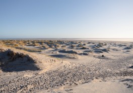 Photo: David Emrich, Unsplash