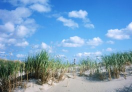 Photo: Susanne Zschaubitz, Unsplash