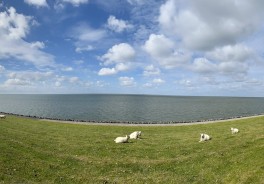 Photo: Matthias Deuschl, Unsplash